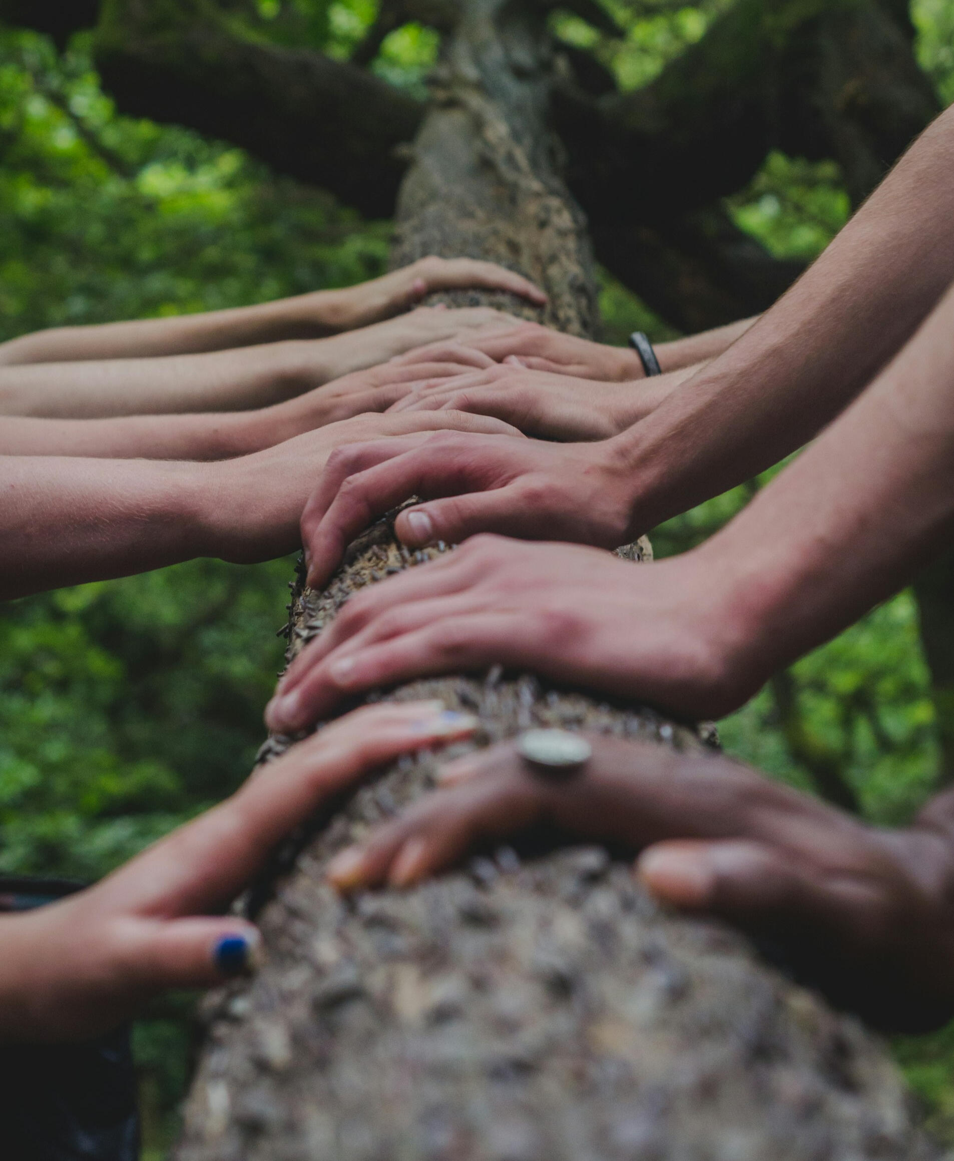 Foto de Shane Rounce na Unsplash