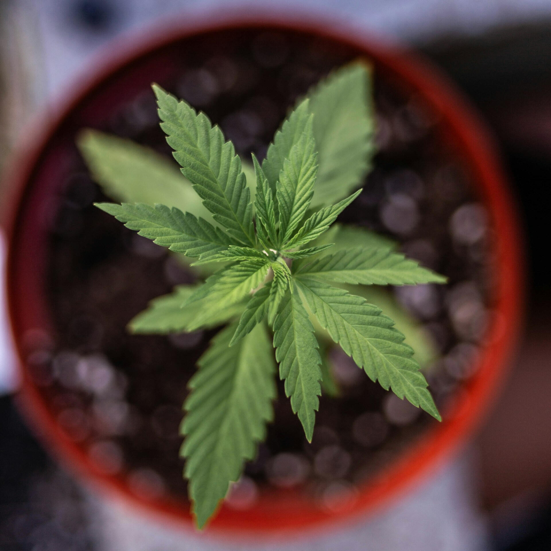 Foto de Jonathan Cooper na Unsplash