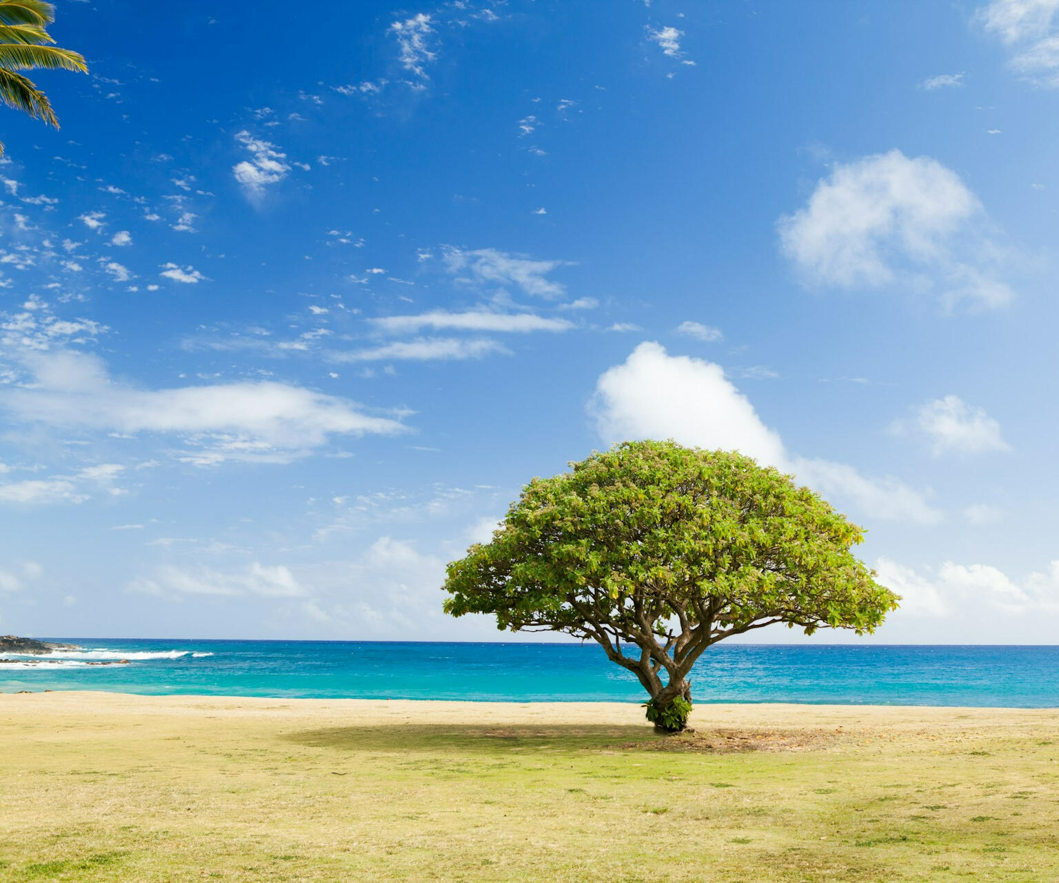 Foto de Todd Quackenbush na Unsplash