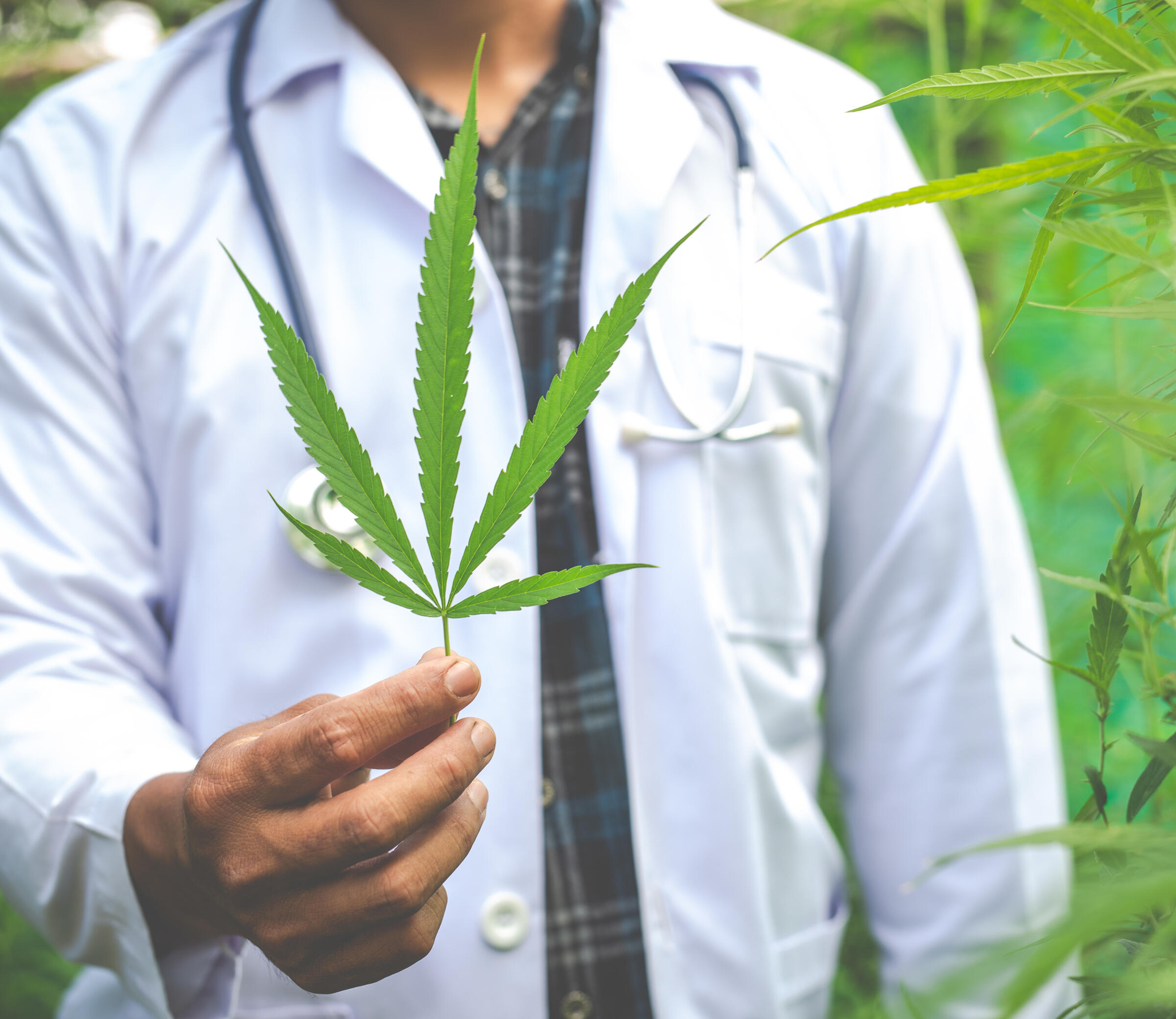 Foto de Christin Hume na Unsplash